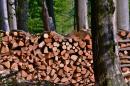 Coupe de bois de chauffage