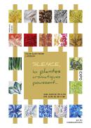 expo silence, les plantes aromatiques poussent