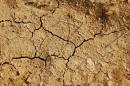Secheresse 2022 reconnue Catastrophe naturelle